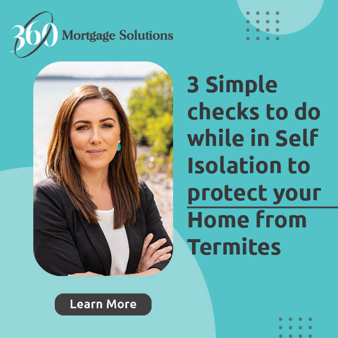 3 Simple checks to do while in Self Isolation to protect your Home from Termites